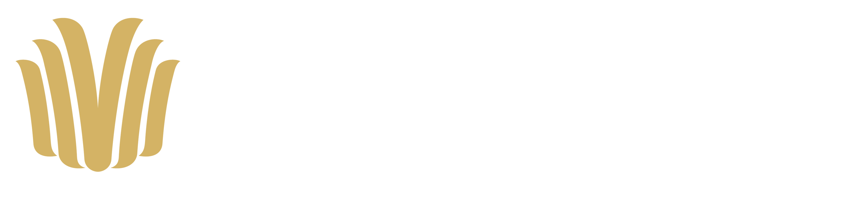 栢景酒店集团